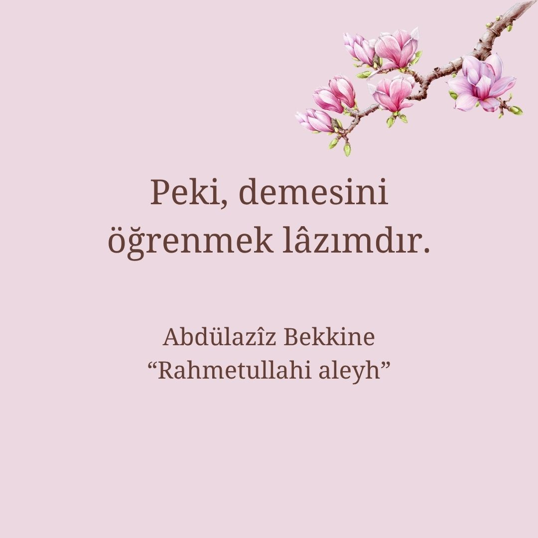 Hikmet Ehli Zatlar (141)
